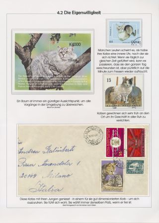 THE MYSTERY OF DOMESTIC CATS – sheet 83