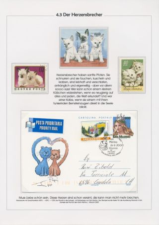 THE MYSTERY OF DOMESTIC CATS – sheet 84