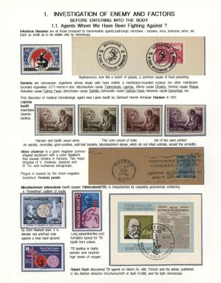 STRUGGLES AGAINST INFECTION – sheet 3