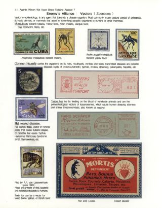 STRUGGLES AGAINST INFECTION – sheet 5