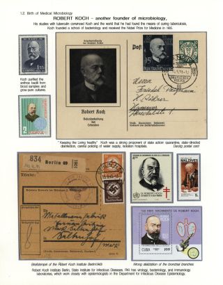 STRUGGLES AGAINST INFECTION – sheet 11