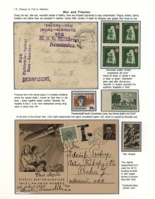 STRUGGLES AGAINST INFECTION – sheet 14