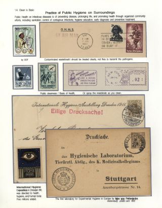 STRUGGLES AGAINST INFECTION – sheet 18