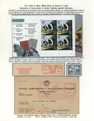 KÄMPFE GEGEN INFEKTIONEN – Blatt 36