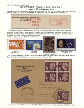 KÄMPFE GEGEN INFEKTIONEN – Blatt 45