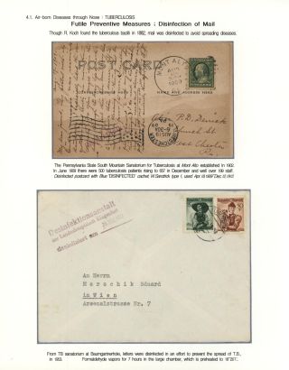 KÄMPFE GEGEN INFEKTIONEN – Blatt 49
