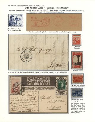 KÄMPFE GEGEN INFEKTIONEN – Blatt 51