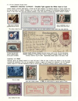 KÄMPFE GEGEN INFEKTIONEN – Blatt 63