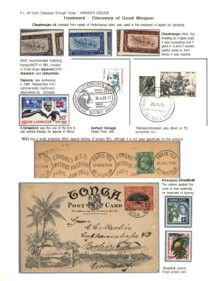 KÄMPFE GEGEN INFEKTIONEN – Blatt 69