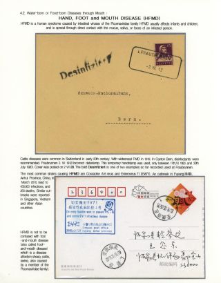 KÄMPFE GEGEN INFEKTIONEN – Blatt 75
