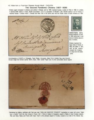 KÄMPFE GEGEN INFEKTIONEN – Blatt 80
