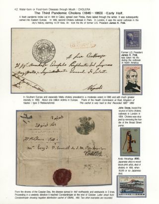 KÄMPFE GEGEN INFEKTIONEN – Blatt 81