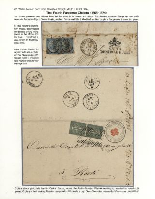 KÄMPFE GEGEN INFEKTIONEN – Blatt 82