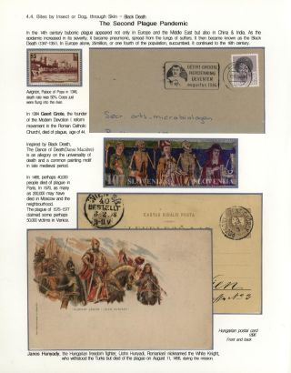 KÄMPFE GEGEN INFEKTIONEN – Blatt 97