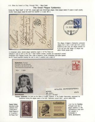 KÄMPFE GEGEN INFEKTIONEN – Blatt 98