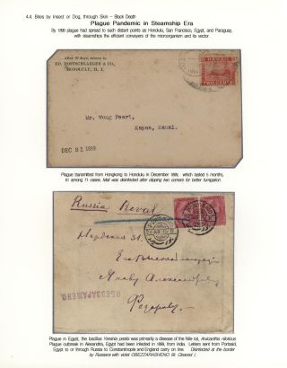 KÄMPFE GEGEN INFEKTIONEN – Blatt 99