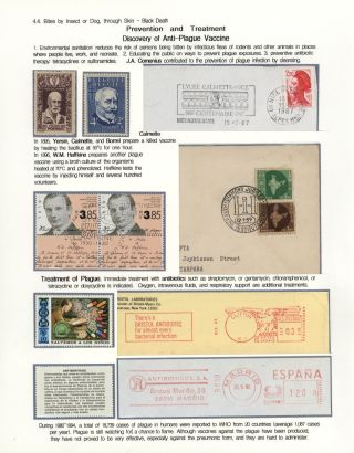 KÄMPFE GEGEN INFEKTIONEN – Blatt 100