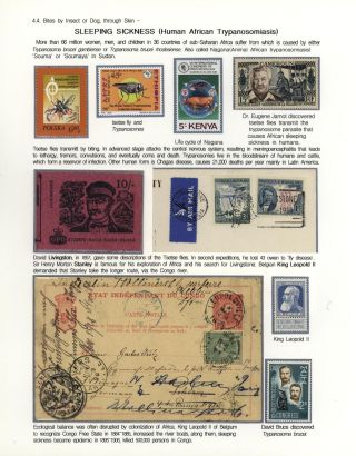 KÄMPFE GEGEN INFEKTIONEN – Blatt 101