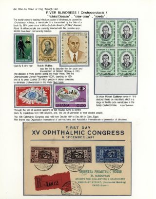 KÄMPFE GEGEN INFEKTIONEN – Blatt 102