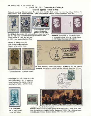 KÄMPFE GEGEN INFEKTIONEN – Blatt 103