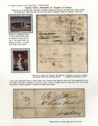 KÄMPFE GEGEN INFEKTIONEN – Blatt 104
