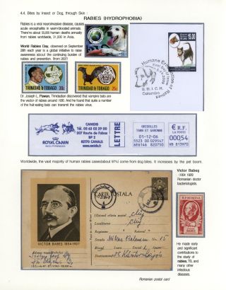 KÄMPFE GEGEN INFEKTIONEN – Blatt 107
