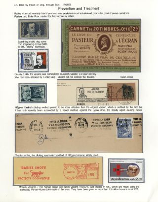 KÄMPFE GEGEN INFEKTIONEN – Blatt 108