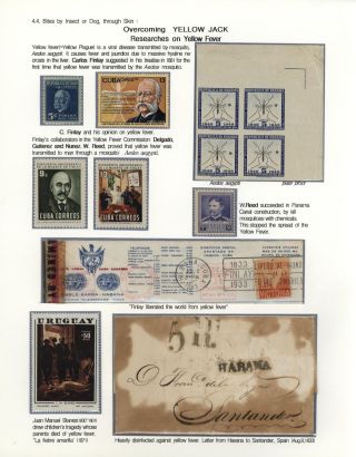 KÄMPFE GEGEN INFEKTIONEN – Blatt 109