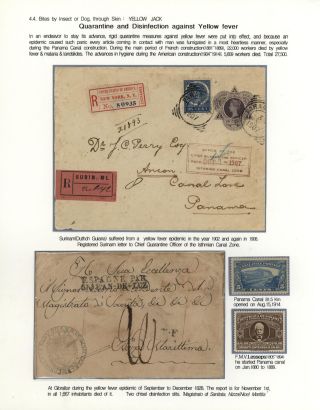KÄMPFE GEGEN INFEKTIONEN – Blatt 110