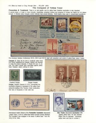 KÄMPFE GEGEN INFEKTIONEN – Blatt 111