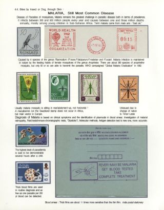 KÄMPFE GEGEN INFEKTIONEN – Blatt 113