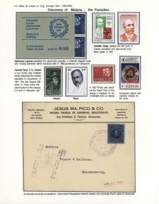 KÄMPFE GEGEN INFEKTIONEN – Blatt 114