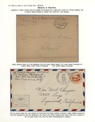 KÄMPFE GEGEN INFEKTIONEN – Blatt 115