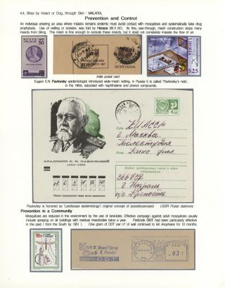 KÄMPFE GEGEN INFEKTIONEN – Blatt 116