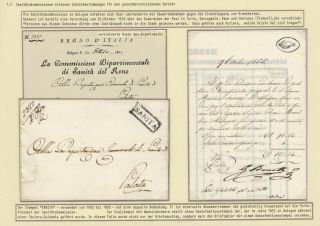 VON NATIONALER GESUNDHEITSVORSORGE ZUR WELTGESUNDHEITSORGANISATION – Blatt 5