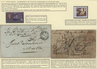 VON NATIONALER GESUNDHEITSVORSORGE ZUR WELTGESUNDHEITSORGANISATION – Blatt 11