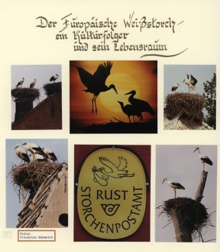 DER EUROPÄISCHE WEIßSTORCH UND SEIN LEBENSRAUM – Blatt 1