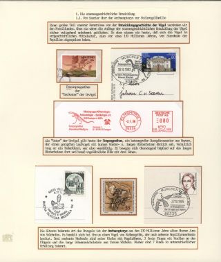 DER EUROPÄISCHE WEIßSTORCH UND SEIN LEBENSRAUM – Blatt 3