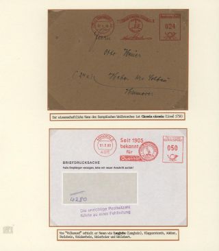 DER EUROPÄISCHE WEIßSTORCH UND SEIN LEBENSRAUM – Blatt 8