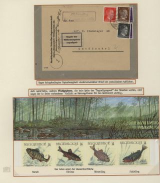 DER EUROPÄISCHE WEIßSTORCH UND SEIN LEBENSRAUM – Blatt 10