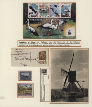 DER EUROPÄISCHE WEIßSTORCH UND SEIN LEBENSRAUM – Blatt 11