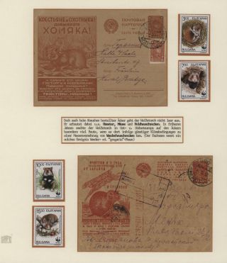 DER EUROPÄISCHE WEIßSTORCH UND SEIN LEBENSRAUM – Blatt 13