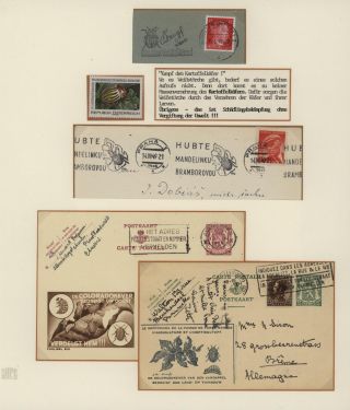 DER EUROPÄISCHE WEIßSTORCH UND SEIN LEBENSRAUM – Blatt 14