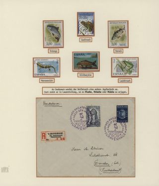 DER EUROPÄISCHE WEIßSTORCH UND SEIN LEBENSRAUM – Blatt 16