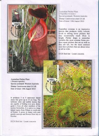 THE NATURE CONSERVANCY - AUSTRALIA – sheet 3