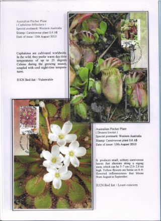 THE NATURE CONSERVANCY - AUSTRALIA – sheet 4