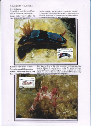 THE NATURE CONSERVANCY - AUSTRALIA – sheet 8