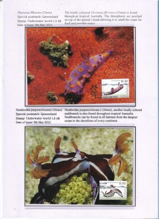 THE NATURE CONSERVANCY - AUSTRALIA – sheet 10