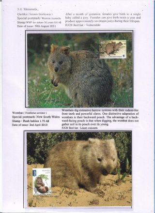 OCHRANA PŘÍRODY - AUSTRÁLIE – list 21