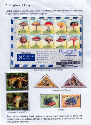 WUNDER DER NATUR - ERHALTEN SIE ES ODER VERLIEREN SIE – Blatt 2
